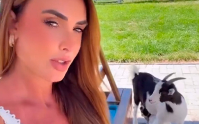 Nicole Bahls descobre que cabrito batizado como Leo Dias é fêmea: “E agora é mãe”