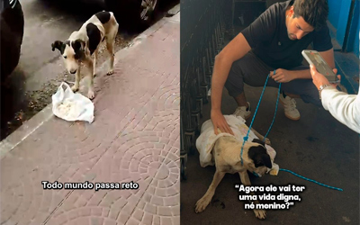 Cachorro abandonado desde o nascimento é resgatado após ser ignorado por dezenas de pessoas